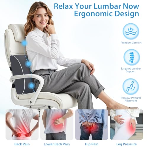 SweetSlubr Lumbar Support Pillow for Office Chair, Back Support(Gray,Large) - color: Gray, size: Large