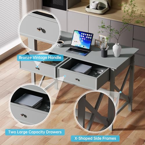 Lewahom Computer Desk with 2 Drawers, Elegant Home Office Writing Study Desk with Storage, Modern Simple Vanity Desk Console Table for Living Room, Grey - color: Grey