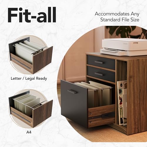HUANUO LED Electric L Shaped Standing Desk with File Cabinet, Walnut | 63"x55" 2-Tier L-Desk,3-Drawer File Cabinet,RGB LED App Lighting,Built-in Power Outlets,27.6"-46.5" Adjustable Height - color: Walnut, size: with File Cabinet