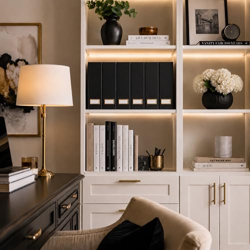 BLU MONACO | Cardboard Magazine File Holder Set of 6 Black | Vertical Magazine File Holder with Gold Label Slots | Standing File Holder and Cardboard Bins for Shelves Desk Storage - color: Black & Gold
