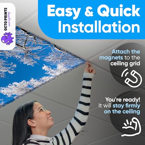 Fluorescent Light Covers for Ceiling Lights Classroom Magnetic Seasons 4pk - color: 4 Seasons