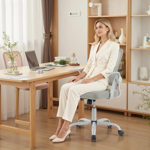 DUMOS Office Chair, Ergonomic Home Desk Chair, Ergonomic Lumbar Support - color: Grey Flip Arm