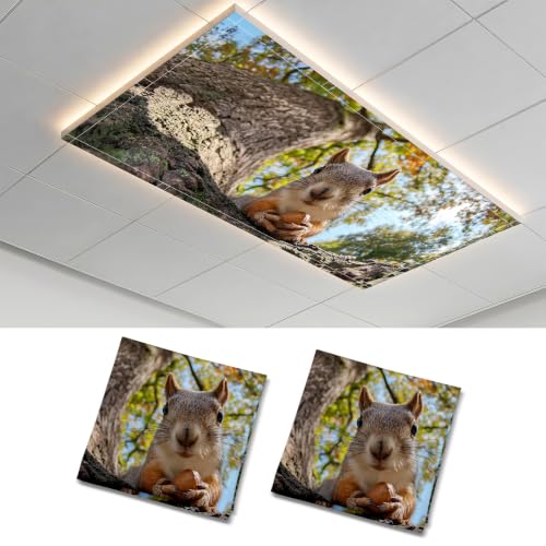 2 Pack Squirrel Eating Nut Decorative Ceiling Light Covers, Magnetic 4x2 Ft Fluorescent or LED Panel Filter, Anti-Glare Eye Protection for Classroom Office - color: Squirrel (3)