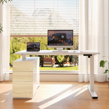 FLEXISPOT EN2 55"x28" Standing Desk Bundle with Storage Cabinet, White - color: White Top + White Frame, size: 55x28 | Cabinet