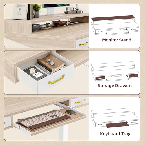 TIQLAB Standing Desk with Two Drawers, Stand Up Standing Desk Adjustable Height, Electric Sit Stand Table with Storage Shelf and Splice Board, with LED Light, 55 * 28 inch, Light Walnut - color: Light Walnut, size: 55*28 inch with keyboard tray
