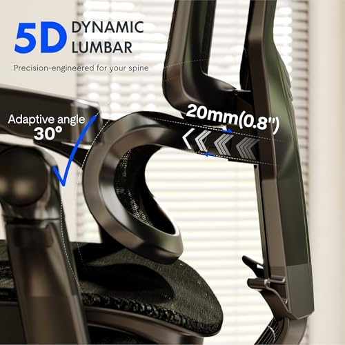 FLEXISPOT ErgoX-PRO Ergonomic Office Chair Black – Cloudtech Cushion, 5D Lumbar, 7D Armrests, 4D Headrest, 551LBS Capacity – Office, Gaming, Home - color: Cloudtech Black, size: Overall Depth 29"