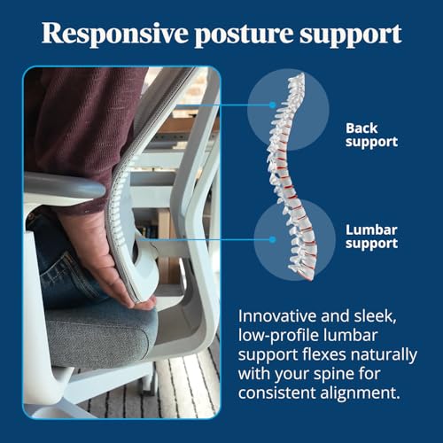 Clarksville Ergonomic Office Chair, Adjust Lumbar Support, Fog | Mesh Back Office Chair, Synchro-Tilt Recline Home Office Desk Chairs with 3-Way Arms, 300 lb Capacity Computer Chair - color: Fog
