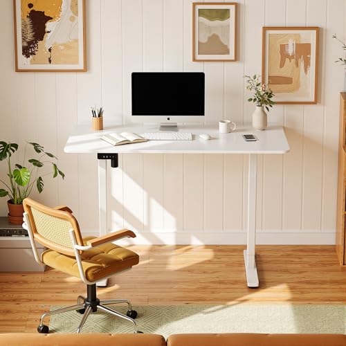 MSZ Electric Standing Desk 48x24 Inch with Memory Presets, Adjustable Height Sit to Stand Computer Desk for Home Office & Gaming (White) - color: 2-white