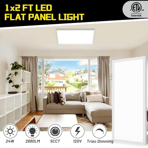 1x2 LED Flat Panel Light Surface Mount 2-Pack, Flush Mount Ceiling Light 24W 2880LM, 5CCT 3000K/3800K/4500K/5200K/6000K, Dimmable Panel Lights - color: White, size: 1Ft. x 2Ft. (2-PACK)