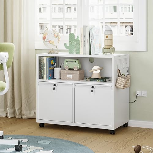 Letaya Mobile 2 Drawer File Cabinet with Lock, Metal Lateral Printer Stand Filing Storage Cabinets with Shelves for Home Office-A4/F4/Letter (White) - color: White, size: Standard 2 Drawers-Basic