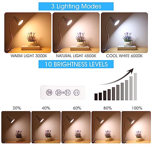 GlowVibe Desk Lamp Eye-Caring 360° Flexible Gooseneck 3 Color Modes 10 Brightness Dimmable 10W 40 LED, Portable Reading Book Light Clamp Study Desk Lamps for Bedroom and Office Home Lighting (White) - color: White