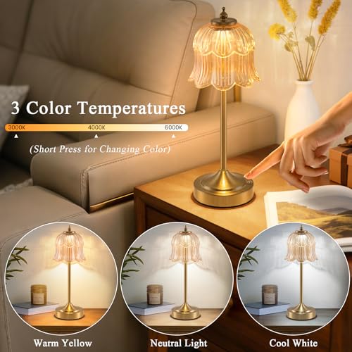 Cordless Table Lamp, Touch Control, 6000mAh Rechargeable Battery-Operated Portable Lamp, 3 Color Temperatures & Stepless Dimming, Vintage Bedside Lamp for Bedroom, Office & Desk, Amber Rose - color: Rose Amber