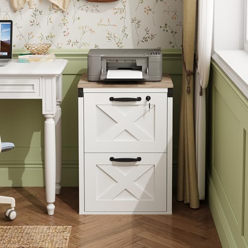 DEVAISE 2-Drawer File Cabinet with Lock, Wood Office Filing Cabinets, White - color: White