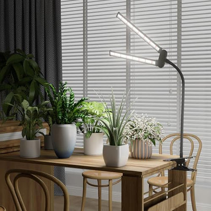 LED Grow Light, 6000K White Full Spectrum Clip Plant Growing Lamp | with Rotatable Dual Head for Indoor Desk Plants,Dimmable & Timer 4/8/12H,High Power Output for Faster Growth,1-Head - size: 1 Tube