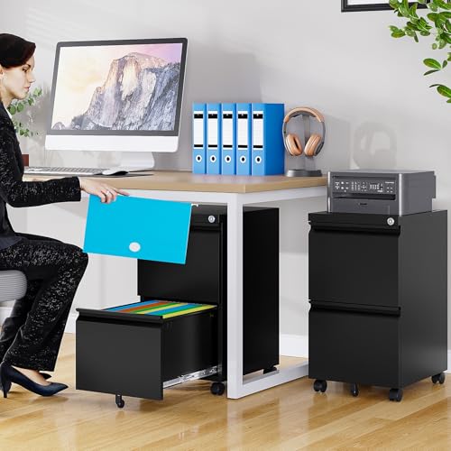 SISESOL Assembled 2 Drawer File Cabinet on Wheels,Metal Filing Cabinet with Lock,Black Rolling File Cabinets,Under Desk Office Cabinets for Home Office,Fit A4/Letter/Legal,Pre-Assembled Except Caster - color: Black, size: 26.2"H x 14.6"W x 17.32"D