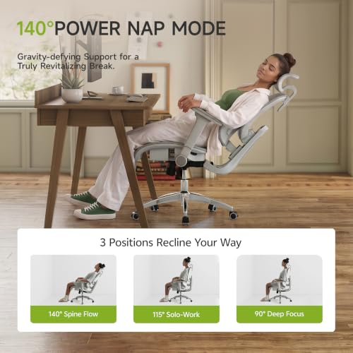 X19 Ergonomic Office Chair, 3-Zone Lumbar for Back Pain Relief - color: Mist Grey