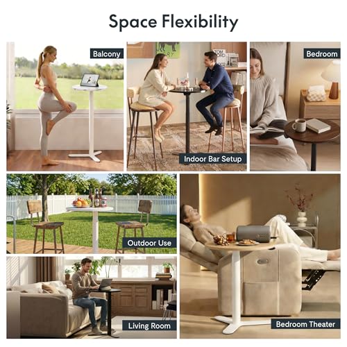 FLEXISPOT Gas Spring Lift Sit-to-Stand Table,20" Round Bar Table - color: Black, size: 20‘’