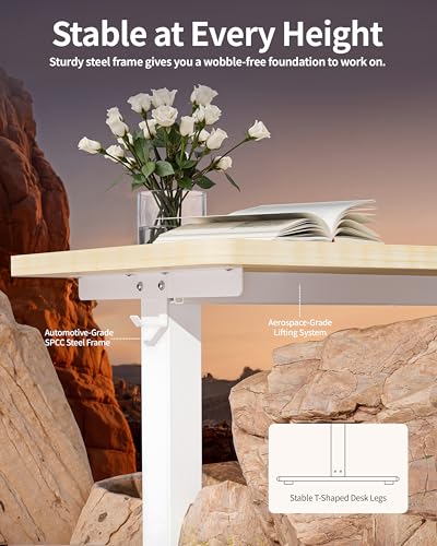 BIZUM Standing Desk Electric Adjustable Computer Desk-Stand up Desk Office Gaming Home Office Memory Desks 48x24 inches Maple - color: Maple, size: 47.2*23.6 Inch