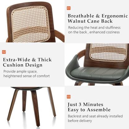 Set of 2 Kitchen & Dining Room Chairs - Green Dining Chairs with Walnut Bentwood Frame, Ergonomic Rattan Back, Curved Arms, Rattan Dining Chairs for Living Room/Reception/Kitchen/Desk (Walnut Green) - color: Walnut Green, size: Set of 2