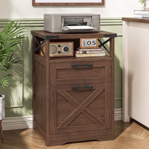 Halitaa Office Filing Vertical Cabinet with 2 Drawers, Walnut | Farmhouse Filing Cabinet with Open Storage Space and Printer Stand for Hanging Files Letter/A4 for Home Office - color: Walnut, style: Vertical