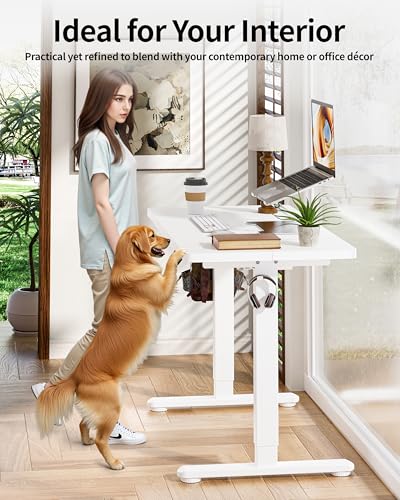 BIZUM Standing Desk Electric Adjustable Computer Desk-Stand up Desk Office Gaming Home Office Memory Desks 48x24 inches White - color: White, size: 47.2*23.6 Inch