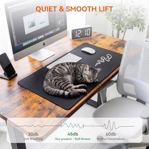 Standing Desk, 55 x 24 Inches Electric Height Adjustable Desk, Sit Stand up Desk, Memory Computer Home Office Gaming Desk with 3 Preset Heights, Table Cable Management Box, Brown - color: Brown, size: 55 x 24 inch