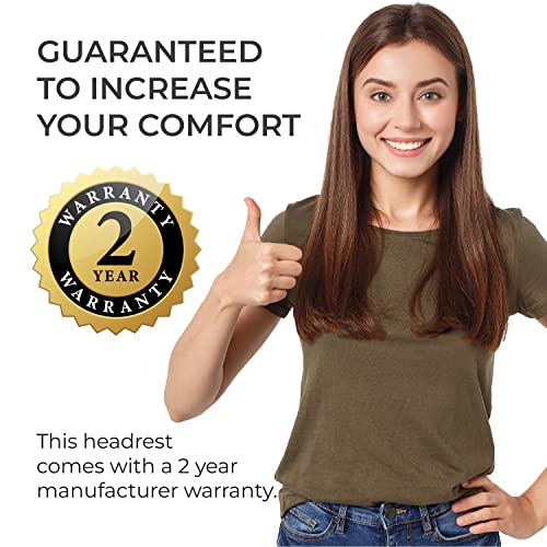 OFFICE LOGIX SHOP Mirra 2 Chair Headrest (Graphite Frame - Headrest w/Graphite Plastic Insert)