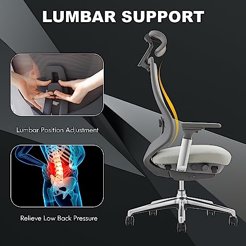 COLAMY Ergonomic Mesh Office Chair, High Back Executive Desk Chair with Adjustable Headrest, 4D Arm, Slide Seat, Tilt Lock, Lumbar Support, Light Grey