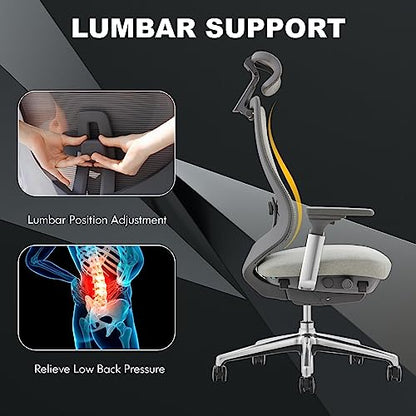 COLAMY Ergonomic Mesh Office Chair, High Back Executive Desk Chair with Adjustable Headrest, 4D Arm, Slide Seat, Tilt Lock, Lumbar Support, Light Grey