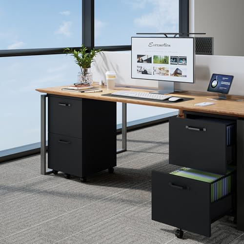 DUMOS 2 Drawer Filing Cabinet, Rolling Wood File Cabinet for Home Office, Under Desk Storage with Lockable Wheels, Printer Stand, Office Organizer, Black