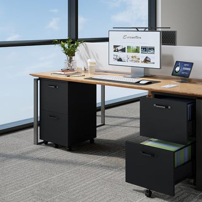 DUMOS 2 Drawer Filing Cabinet, Rolling Wood File Cabinet for Home Office, Under Desk Storage with Lockable Wheels, Printer Stand, Office Organizer, Black