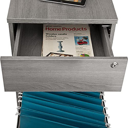 2‑Drawer Rolling File Cabinet with Lock, Under‑Desk Storage & Wheels, Grey