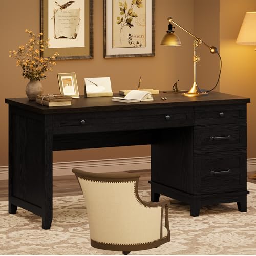 53.5" Farmhouse Home Office Desk with File Cabinet, Wooden Executive Desk with Power Outlet, Work Desk with Drawers, Traditional Wood Desk for Home and Office, Black - color: Black