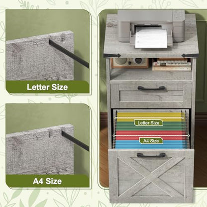 Halitaa Office Filing Vertical Cabinet with 2 Drawers, Grey | Farmhouse Filing Cabinet with Open Storage Space and Printer Stand for Hanging Files Letter/A4 for Home Office - color: Grey, style: Vertical