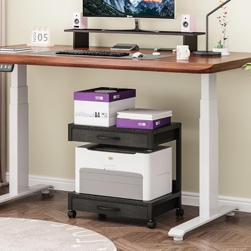 VENNQD 2-Tier Desktop Printer Stand with 2 Fabric Drawers, Prtiner Table with Storage Shelf, Desk Organizer for Home Office,3D Printer,Fax Machine,Scanner (Black, 2 Tier) - color: Black