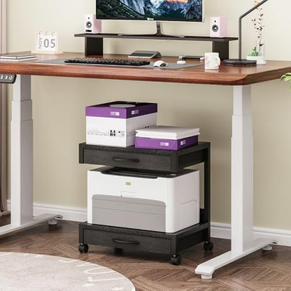 VENNQD 2-Tier Desktop Printer Stand with 2 Fabric Drawers, Prtiner Table with Storage Shelf, Desk Organizer for Home Office,3D Printer,Fax Machine,Scanner (Black, 2 Tier) - color: Black