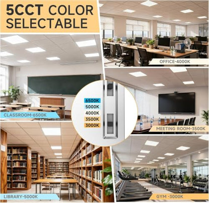 12 Pack 2x2 LED Flat Panel Lights with 5CCT Selectable, 4800LM, ETL | 40W/35W/30W/25W/20W,6500K/5000K/4000K/3500K/3000K,0-10V Dimmable, LED Drop Ceiling Fixtures for Office Meeting Classroom - size: 2x2FT 12PACK