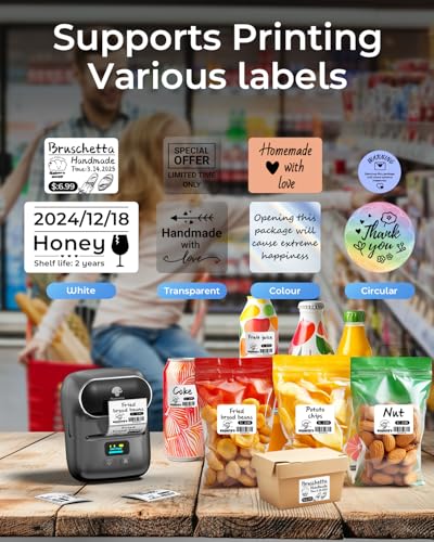 Phomemo M110 Label Maker with 3 Tapes, Portable Thermal Printer, Gray - color: Gray