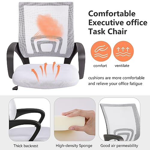 PayLessHere | Office Chair | White | Pack of 2 | with Lumbar Support - color: White, style: pack of 2