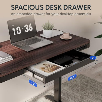 FLEXISPOT Comhar 48" Electric Standing Desk with Storage, Built-in Drawer & USB Charging Ports, Height Adjustable Sit Stand Computer Desk, Quick Assembly, Child Lock, Walnut - size: 48"Dark Walnut/Black