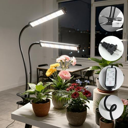 GooingTop Grow Light 100W 6000K, Super Bright White Desktop Clip Plant Lamp - size: 100Watts