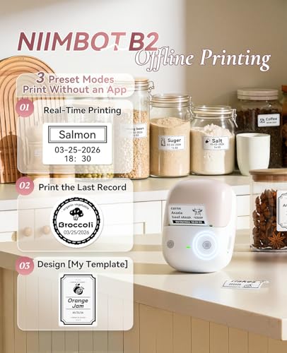 NIIMBOT B2 Label Maker Machine with Tape for Home Office, Pink | Portable Bluetooth 2 Inch Label Printer with Multiple Templates, Thermal Labeler for Kitchen Coffee Shop Bakery Organization - color: Pink