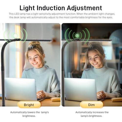 LED Desk Lamp for Home Office, Eye-Caring Desk Light with Clamp, 24W Double Head Architect Task Lamp Stepless Dimming, Flexible Gooseneck Bright Table Lamp for Study Reading Workbench Drafting