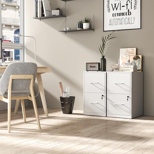 Metal File Cabinet with Drawer Heavy Duty Locking File Cabinets | Home Office Steel Filing Cabinet Vertical File Cabinets for Legal/Letter Size File,Assembly Required - color: White, size: 25.6"H-2 drawers