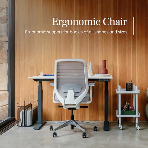 Branch Ergonomic Chair, Versatile Desk Chair with Adjustable Lumbar Support