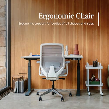 Branch Ergonomic Chair, Versatile Desk Chair with Adjustable Lumbar Support