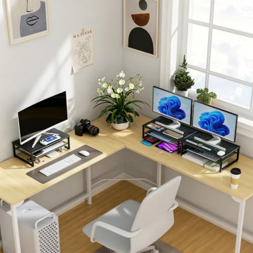 gianotter 2-Tier Metal Monitor Stand Riser - color: Black