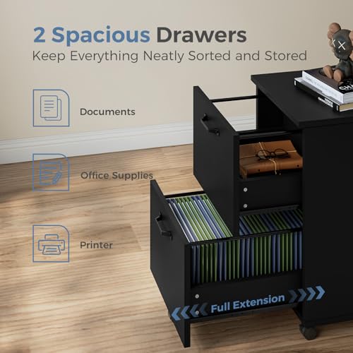 DUMOS 2 Drawer Filing Cabinet, Rolling Wood File Cabinet for Home Office, Under Desk Storage with Lockable Wheels, Printer Stand, Office Organizer, Black