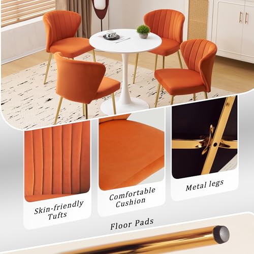 Velvet Dining Chairs Set of 2, Modern Upholstered Vanity Chairs with Golden Metal Legs for Dining Room Kitchen Vanity Patio (Orange) - color: Orange