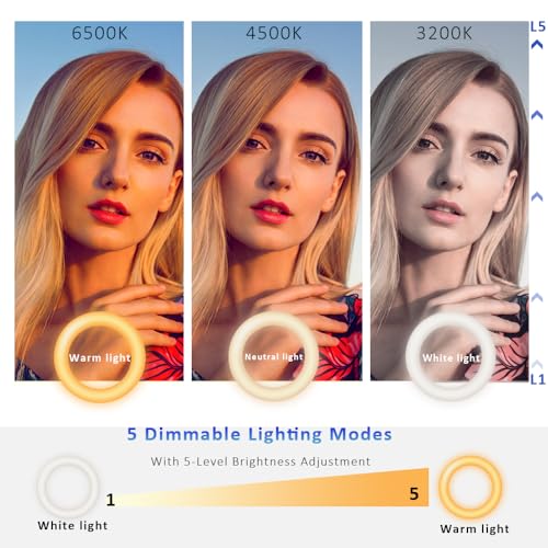 Cyezcor Video Conference Lighting Kit， Ring Light for Computer - size: 6 Inch